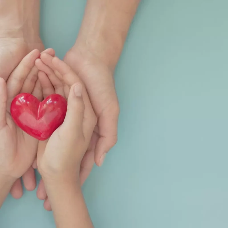 donazione organi