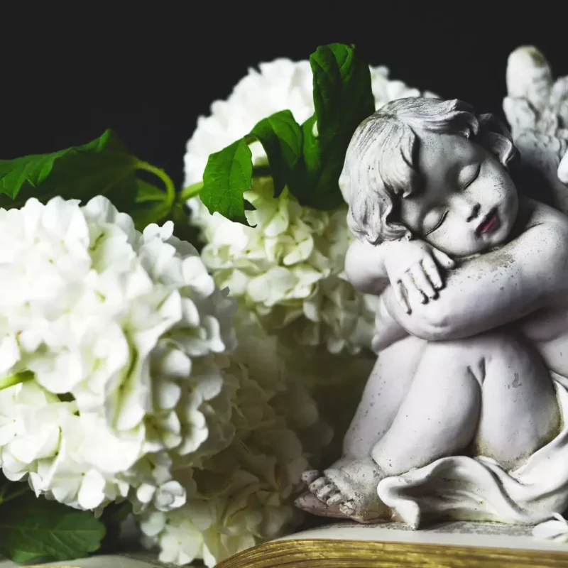pensione di reversibilità in caso di morte