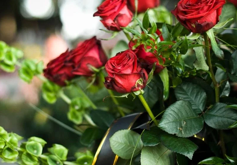 funerali ecosostenibili