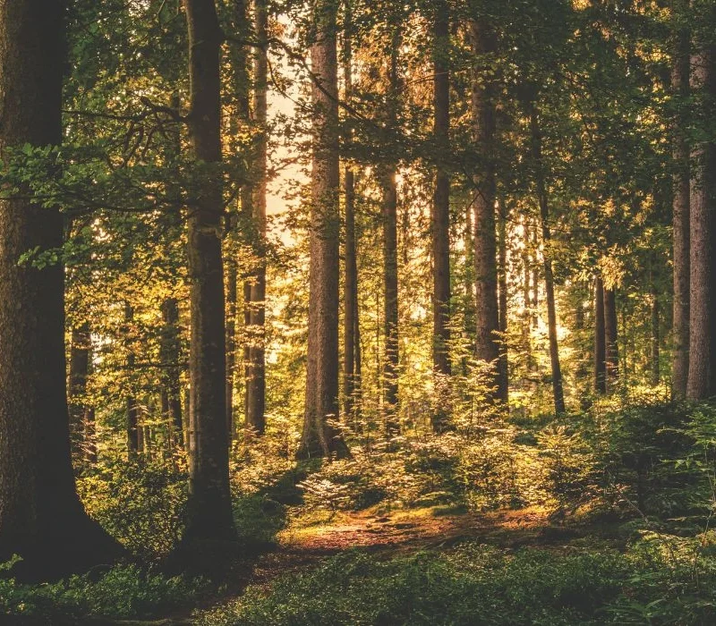rispettare la natura