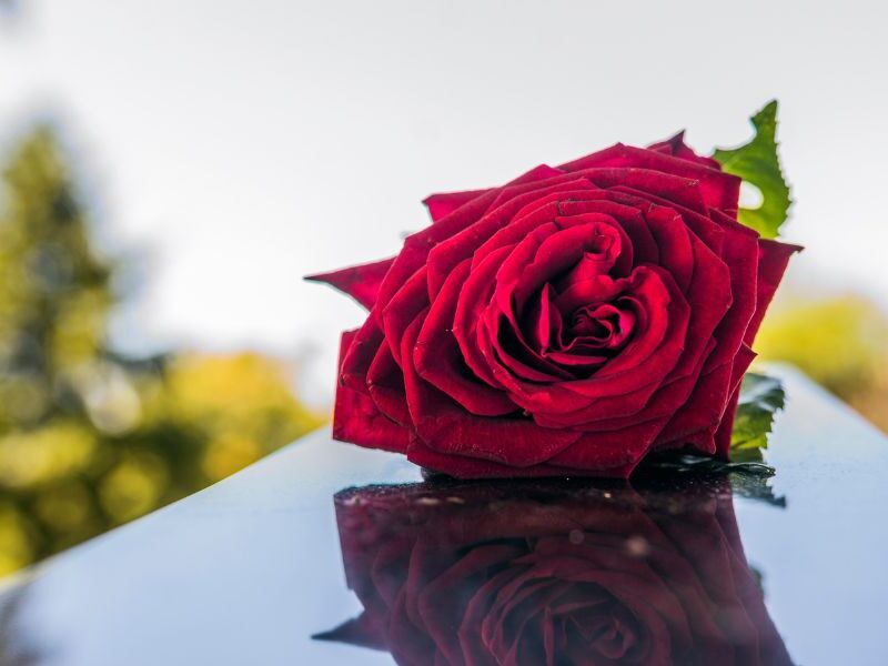 Rinfresco Post-Funerale bon ton, idee e organizzazione