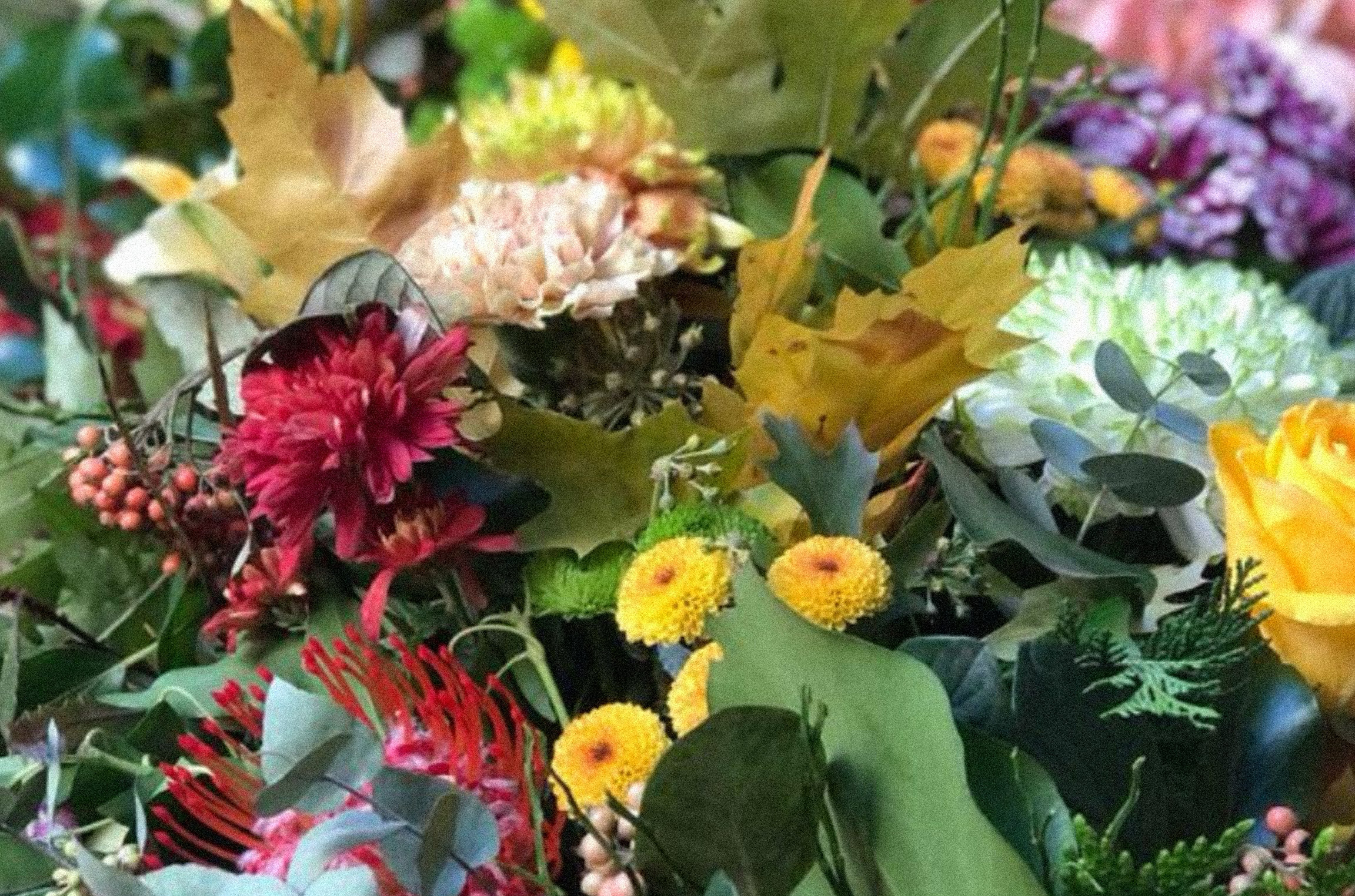Composizione di fiori freschi di stagione